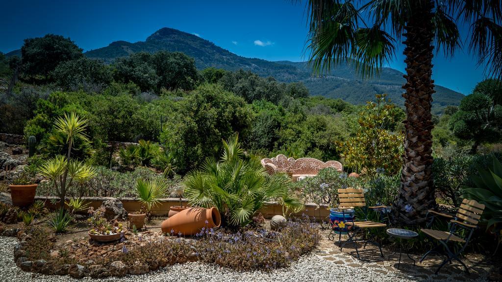 Finca Sonrisa Alhaurín el Grande エクステリア 写真