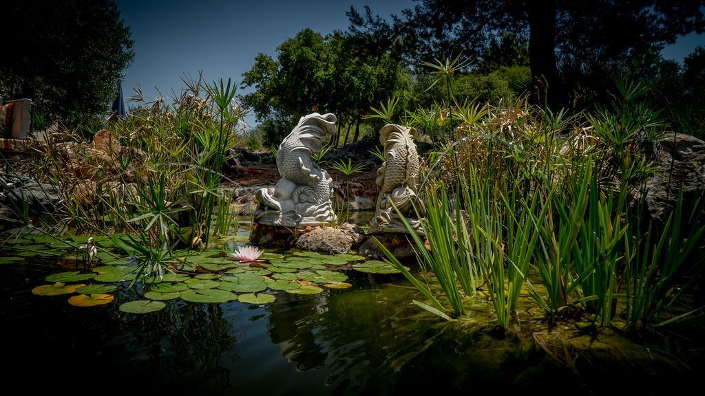 Finca Sonrisa Alhaurín el Grande エクステリア 写真